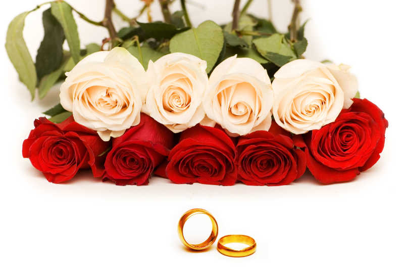 白色背景上的红玫瑰和像香槟玫瑰和戒指