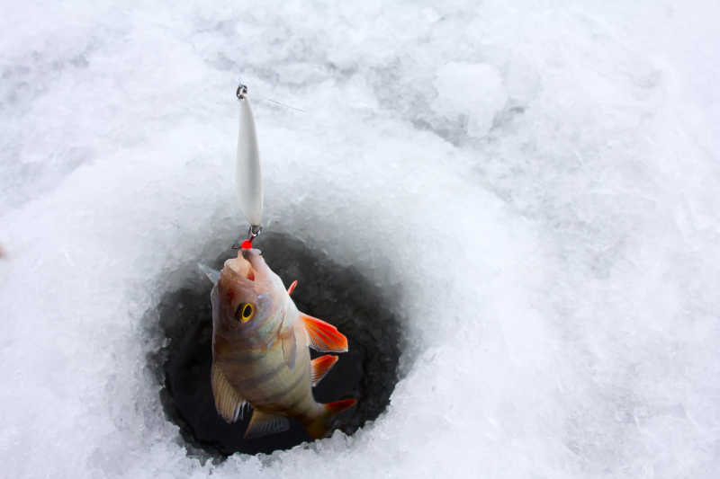 冬季在冰上钓鱼