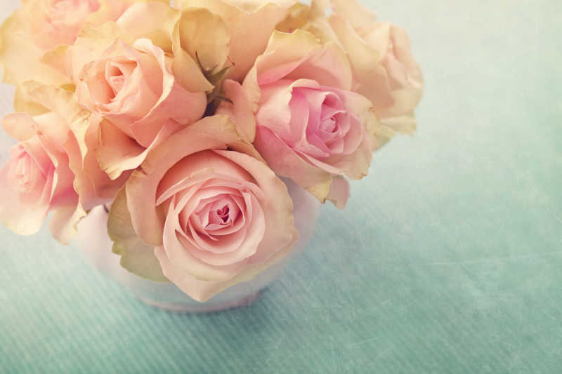 花瓶里的粉色玫瑰