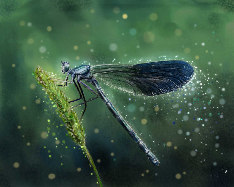 数字油画蜻蜓