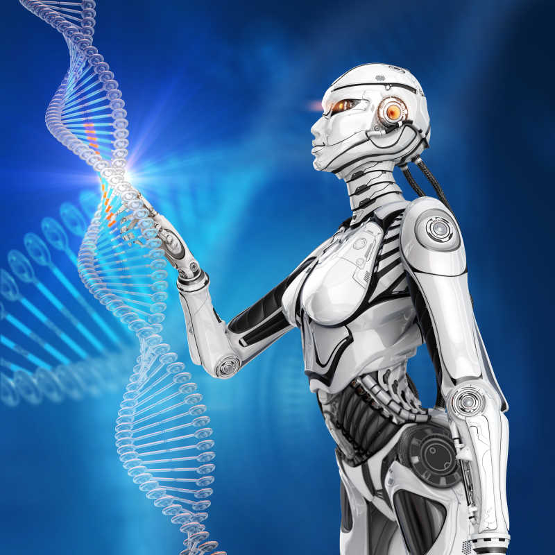 触摸DNA模型的机器人