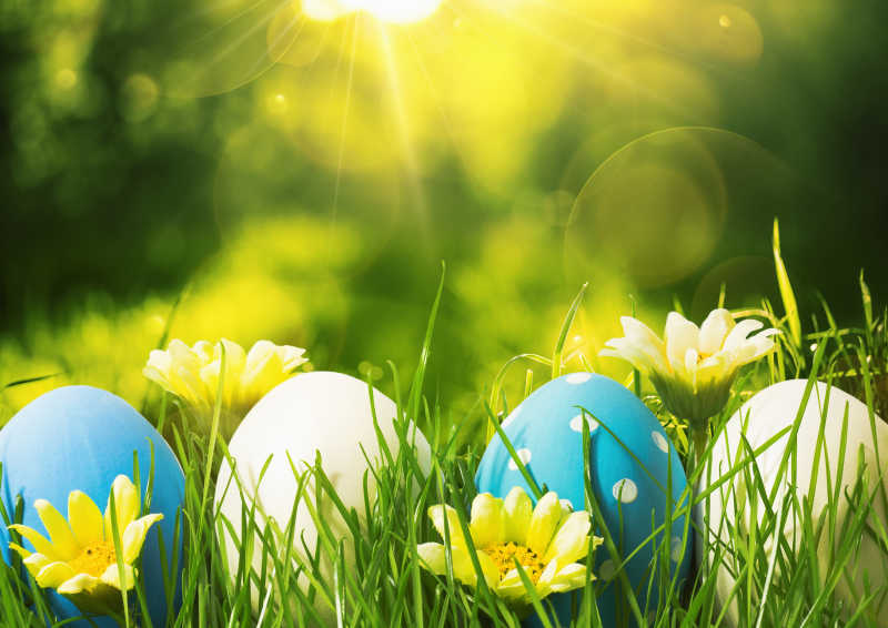 花草丛中白青相间的复活节彩蛋