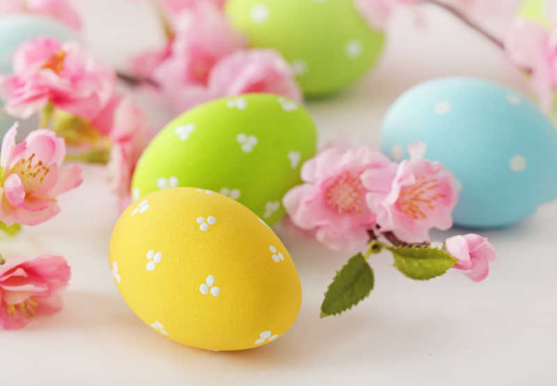 复活节彩色彩蛋和粉色桃花