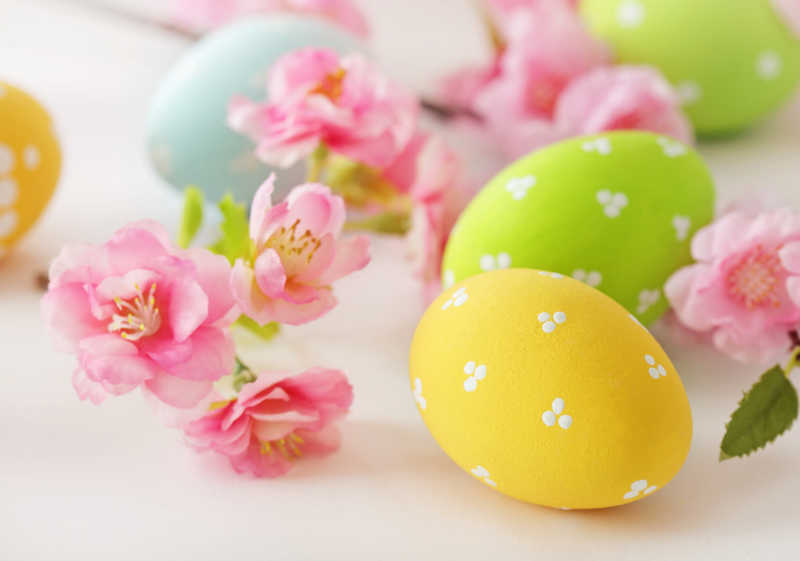 彩色复活节彩蛋和粉色花枝