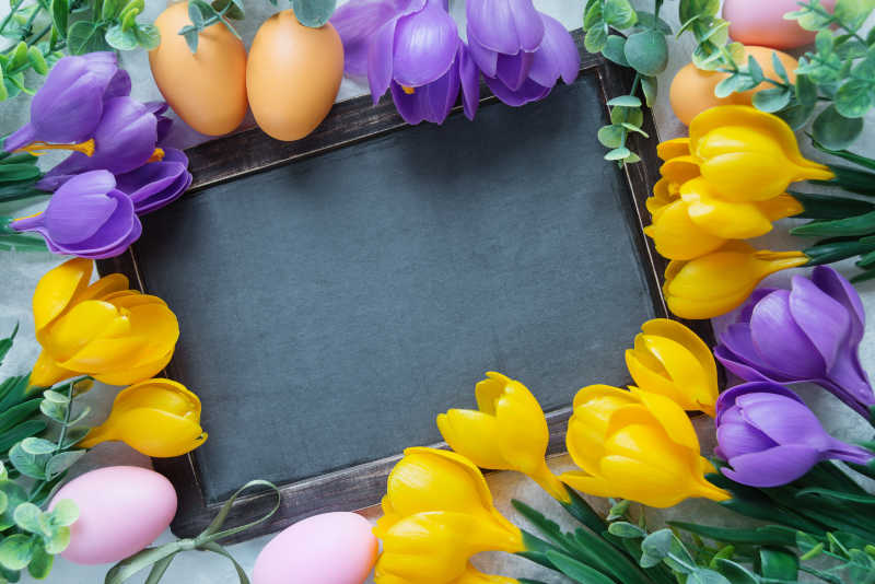 空白黑板四周黄紫色郁金香和彩蛋
