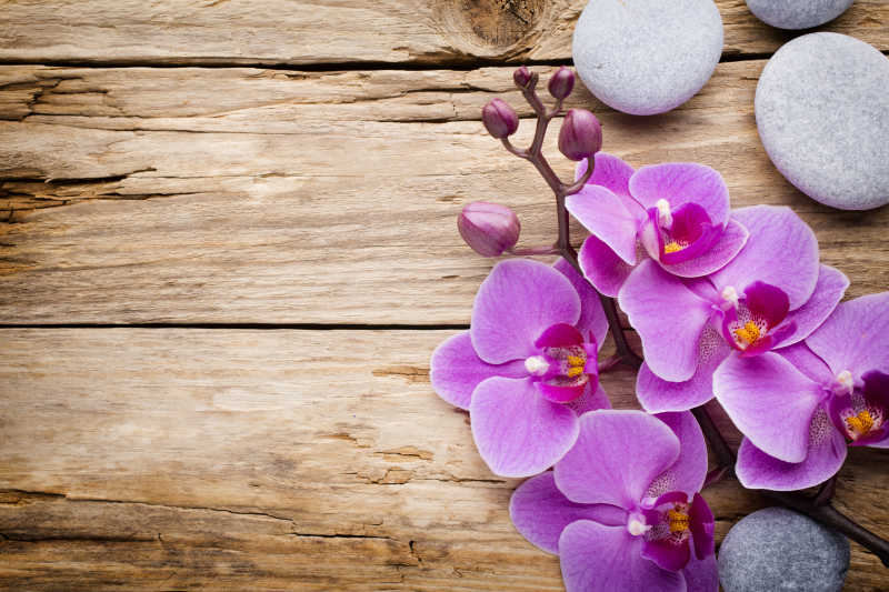 木色背景上的紫色的兰花和鹅卵石