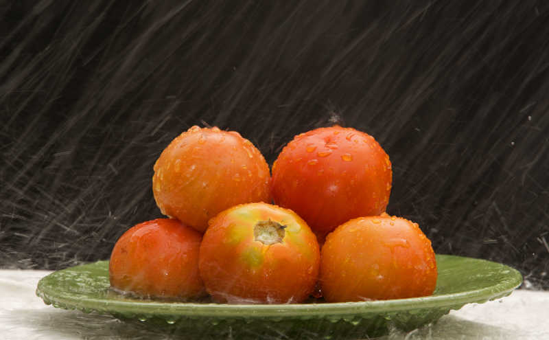 雨中的西红柿