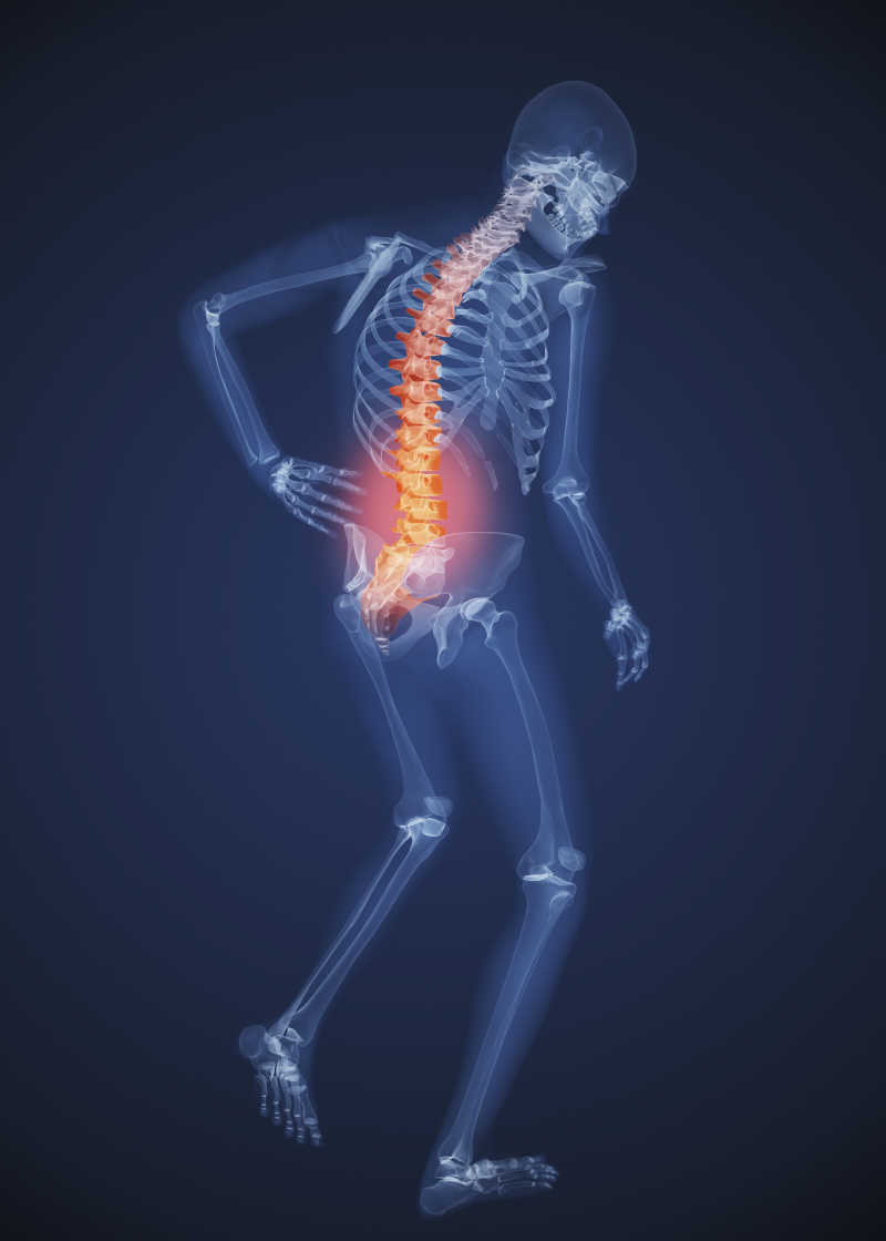 男性背部疼痛骨骼