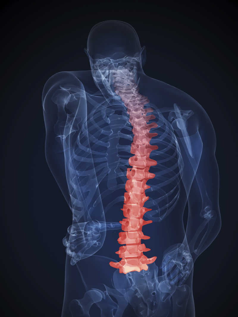 人体背部脊椎疼痛