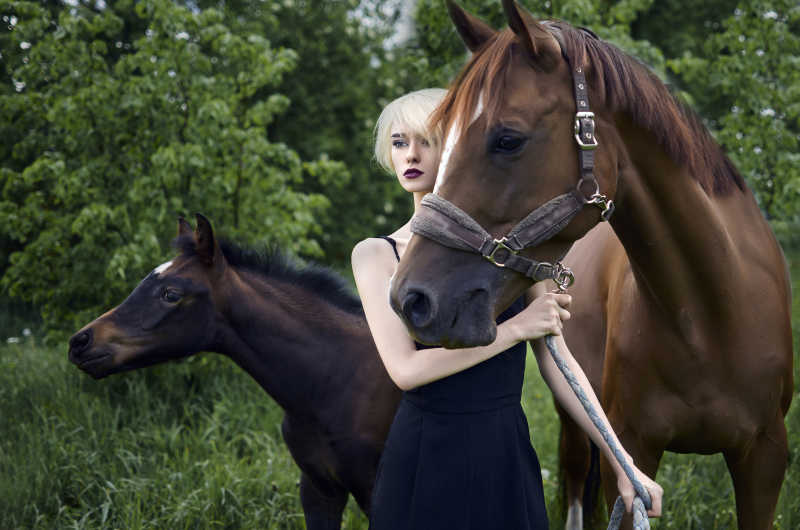 两匹马与美女