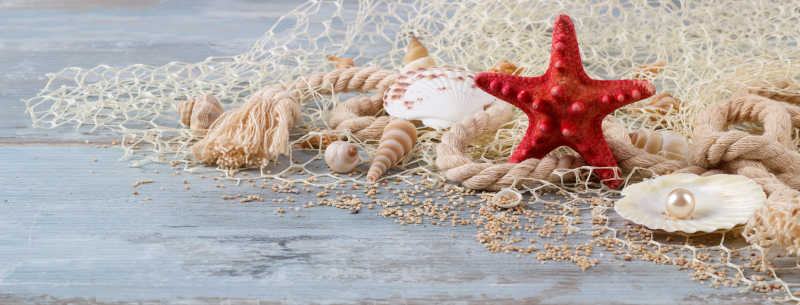 木板上的贝壳渔网和绳子