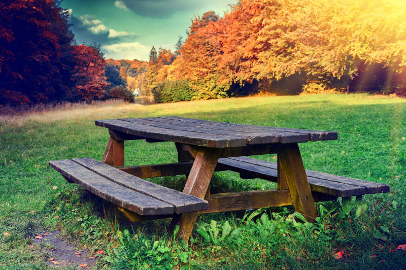 秋季森林里的木制桌椅