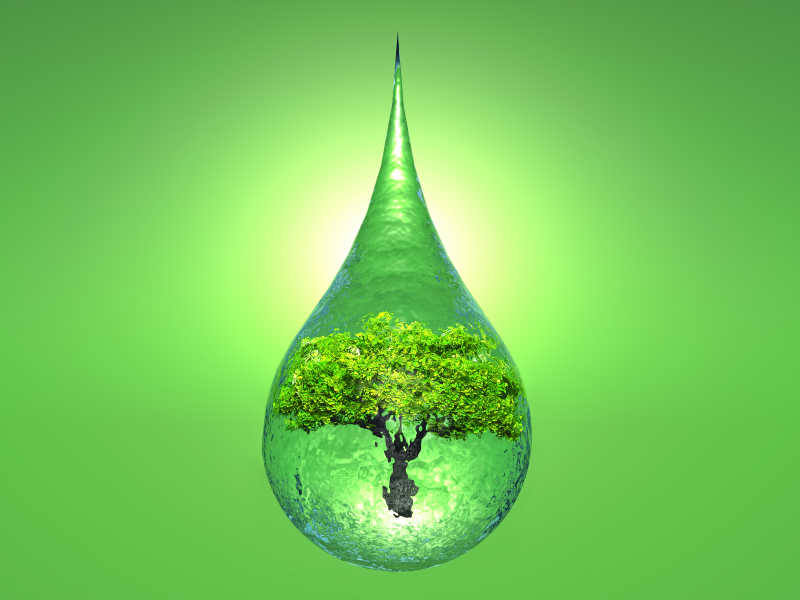 绿色背景下水滴里的树