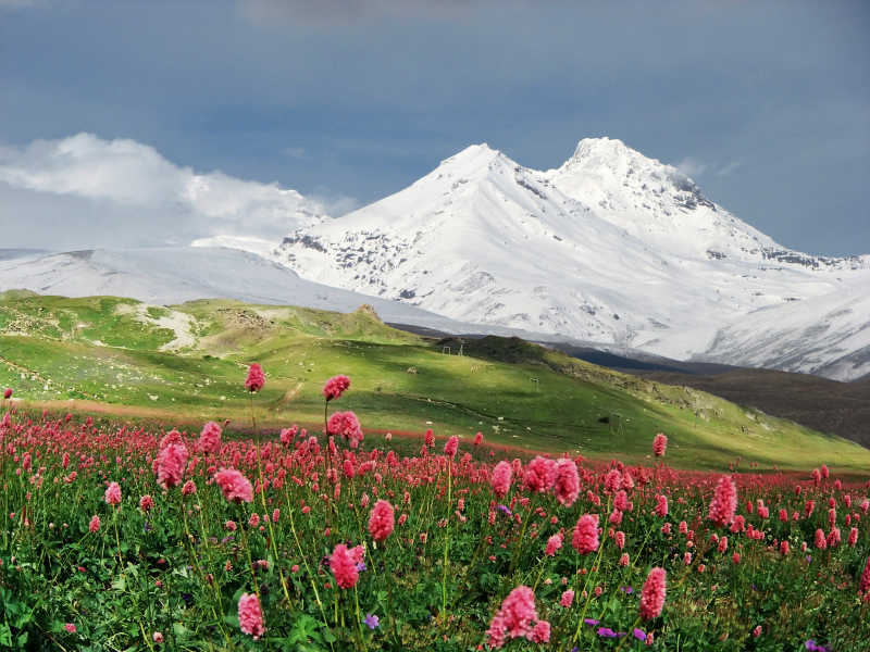 白雪覆盖的高加索山脉和低矮平原地区的春色