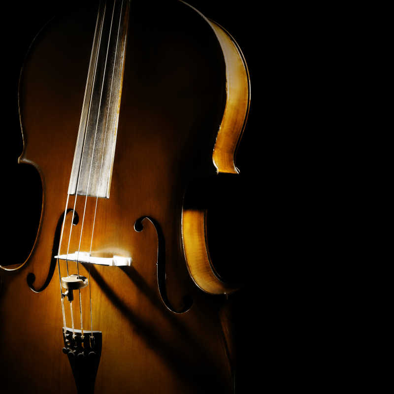 大提琴管弦乐器