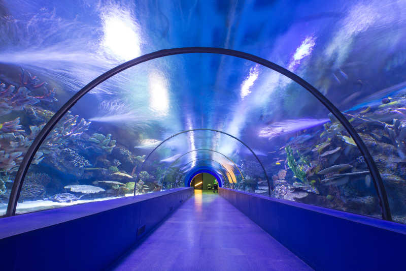 水族馆里蓝色的水下隧道