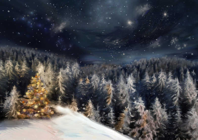 圣诞节的夜晚插画