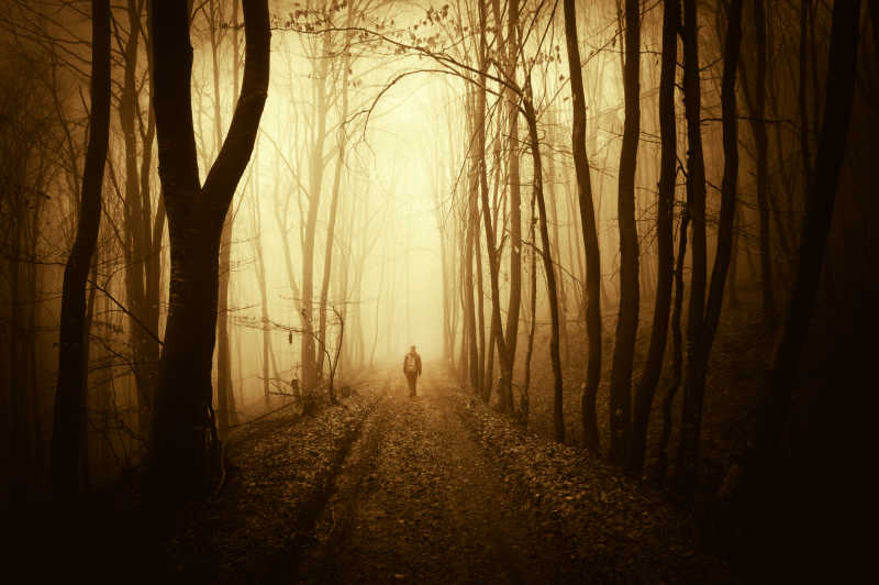 一个人行走在秋天有雾的森林小路上