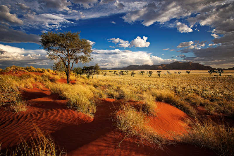 纳米比亚州的草原