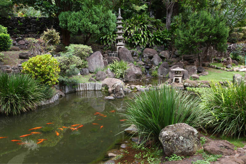 一个在伊奥山谷州立公园在毛伊岛的一个池塘的日本花园