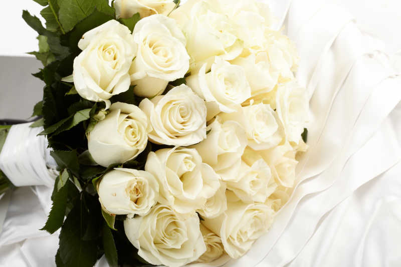 白色床单上的白玫瑰