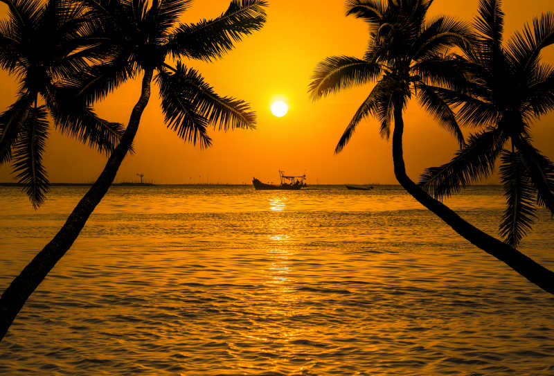 椰子棕榈树和渔夫的船背景热带海滩日落