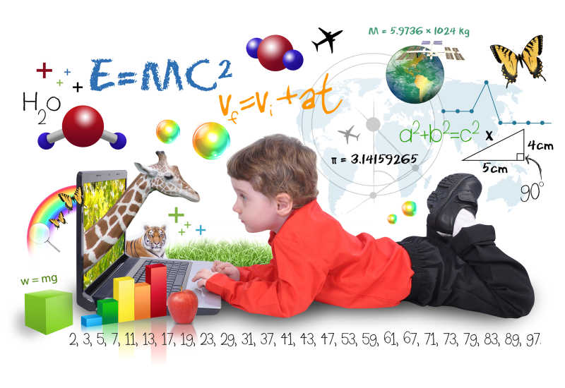 一个小男孩正在看他周围的科学和动物