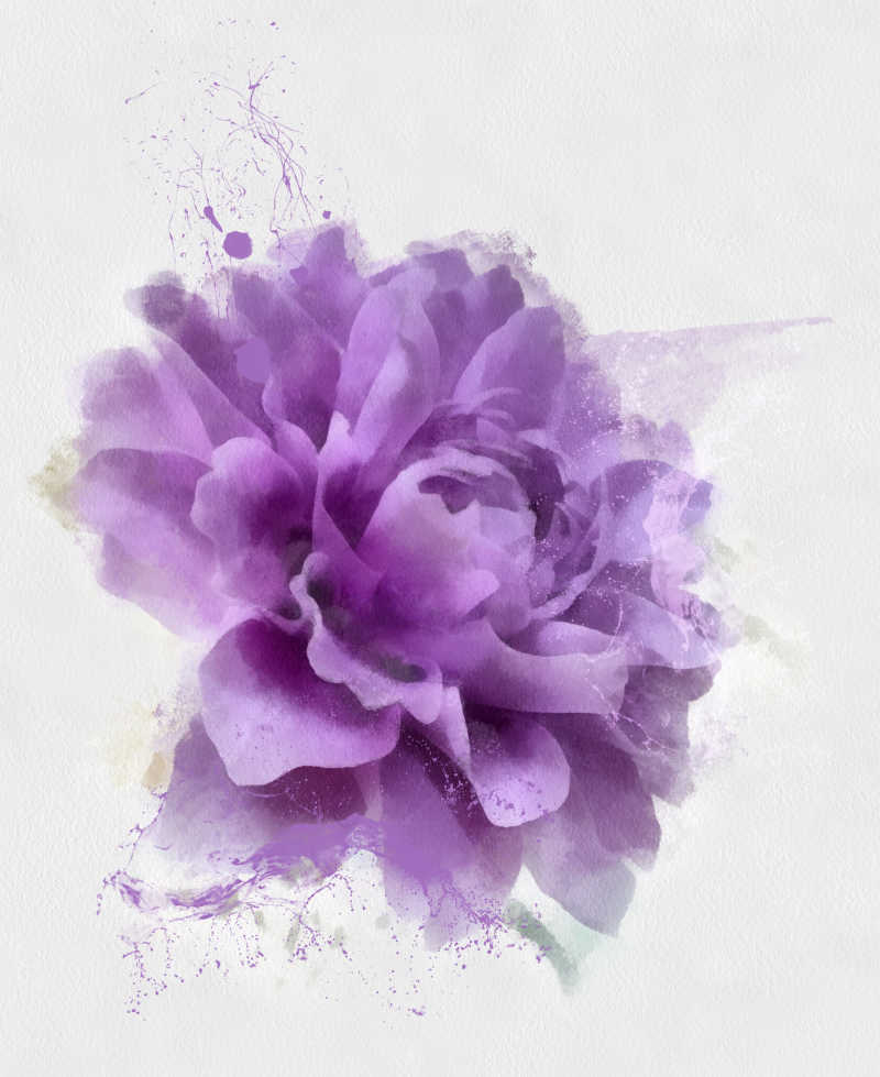 紫色美丽的花朵壁纸