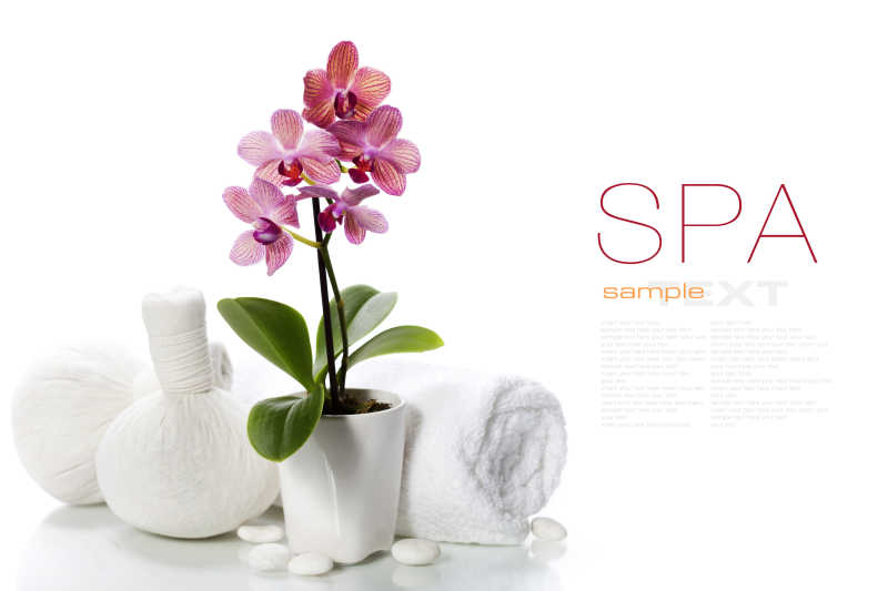 SPA用品和粉色的兰花