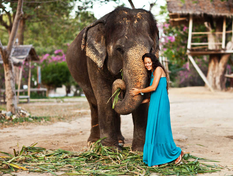 美女抱着大象鼻子