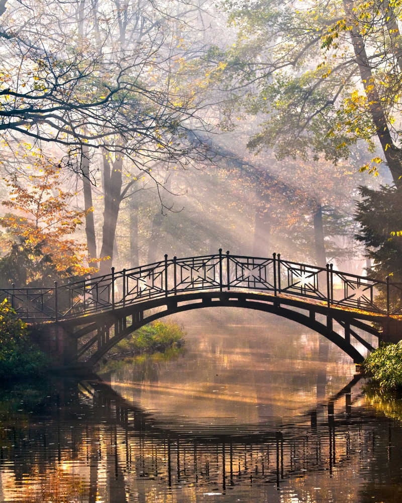 秋日迷雾公园的旧桥