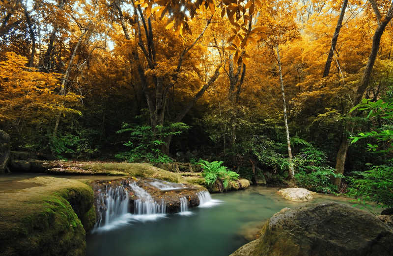 泰国多彩森林春季的瀑布与蓝色溪流