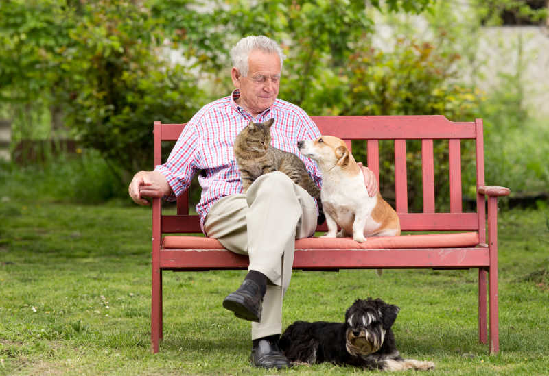 老人靠在长椅上抱着狗和猫