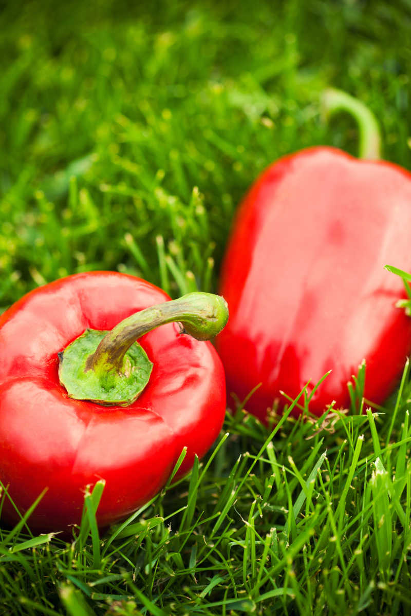 草地上的两个红色甜椒