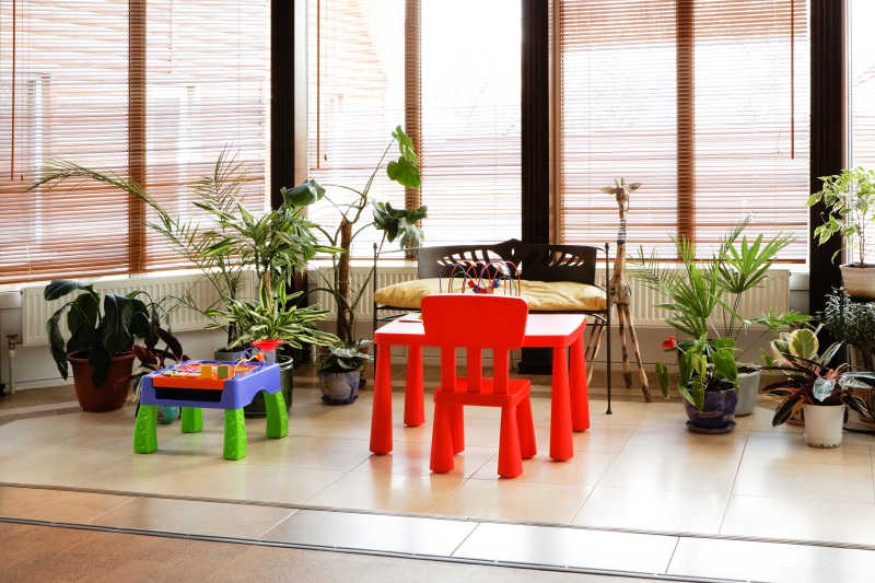 有玩具和植物的现代房子