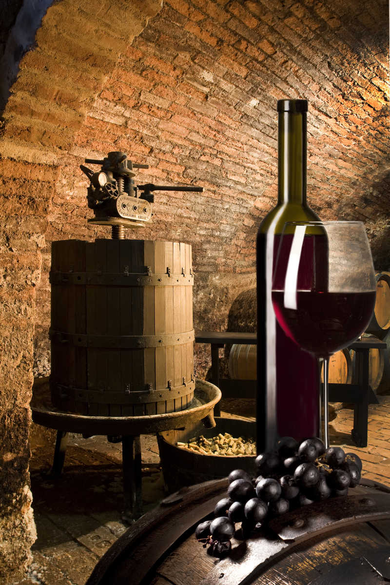 地窖里的葡萄和葡萄酒
