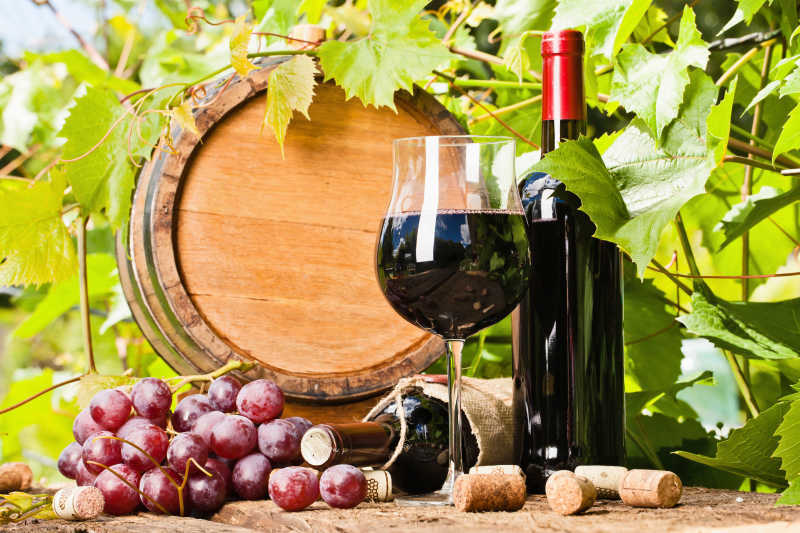 葡萄叶前的葡萄酒和葡萄