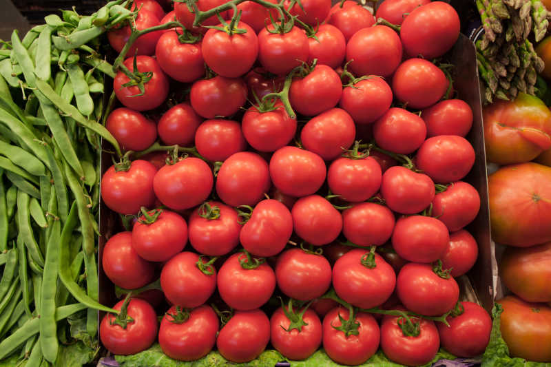 一堆成熟的西红柿