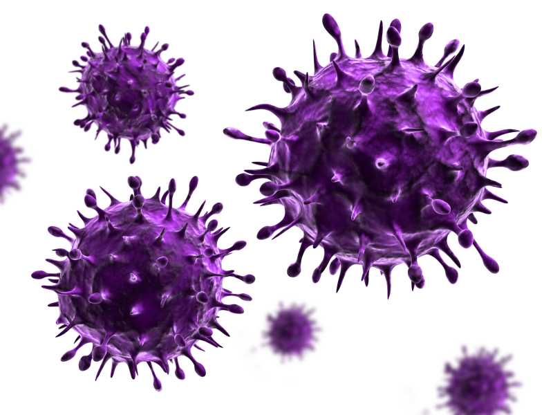 紫色球状病毒