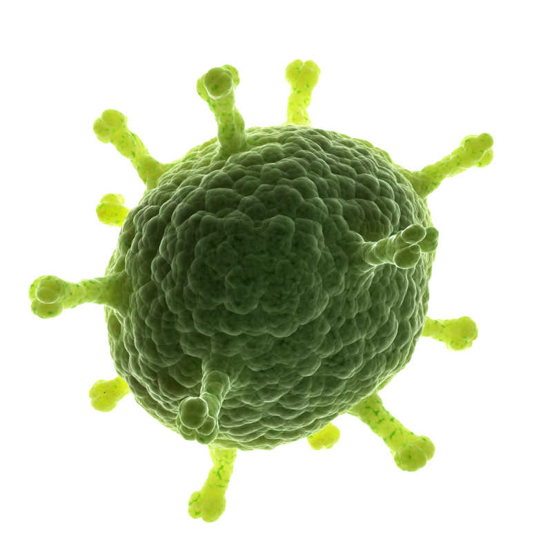 绿色球状病毒