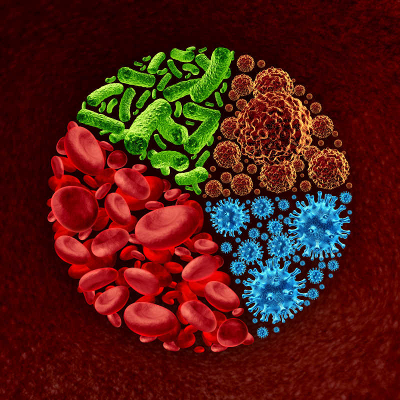 人血细胞病毒细菌和癌症细胞图标