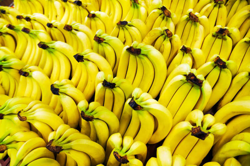 成排的香蕉