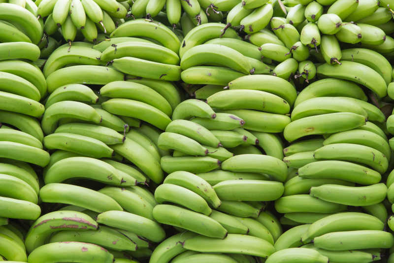 未成熟的绿色香蕉