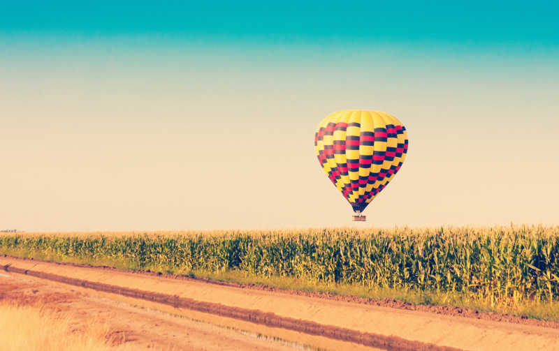 蓝天下飞跃玉米地的彩色热气球