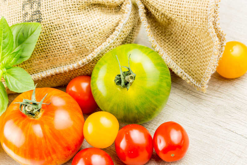 五颜六色的番茄品种的特写