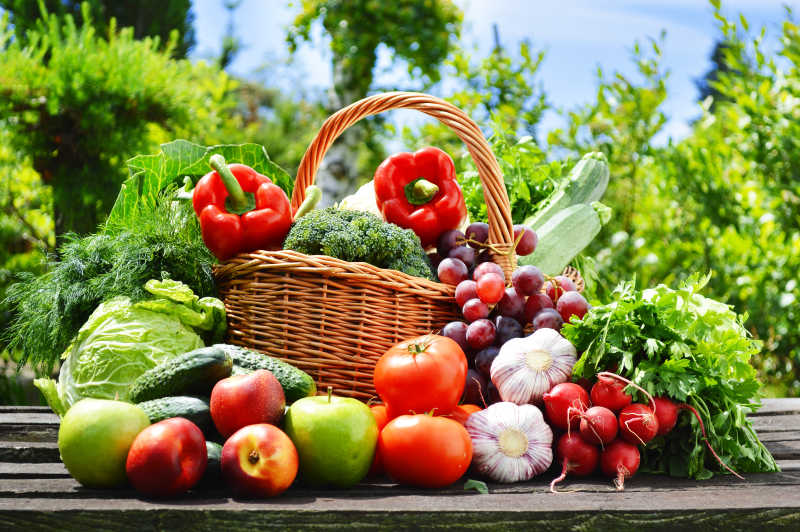 花园里柳条篮子里的新鲜有机蔬菜