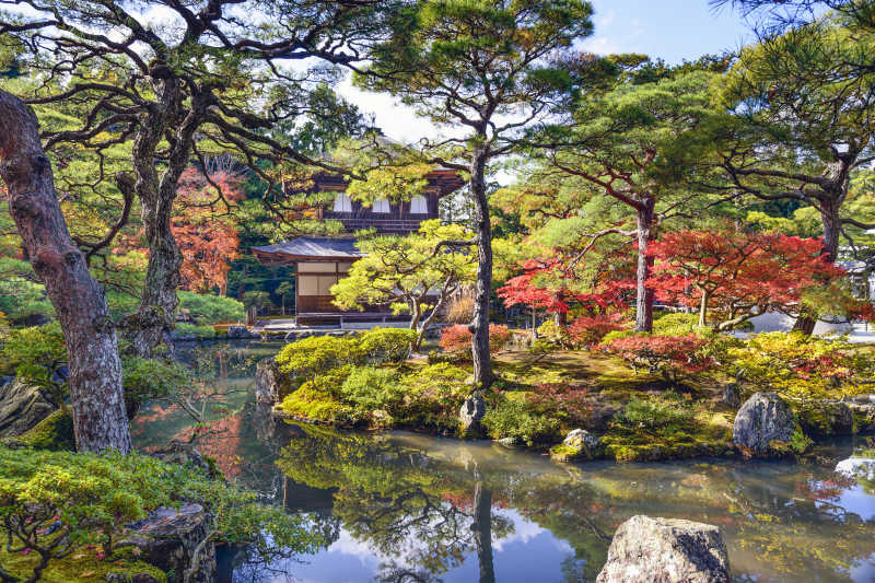 日本的秋天树叶在银阁寺
