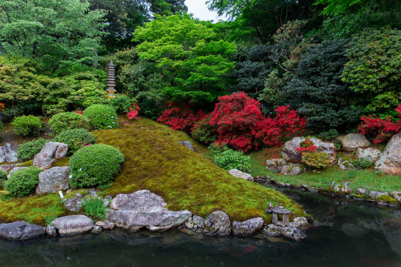 日本秘密花园