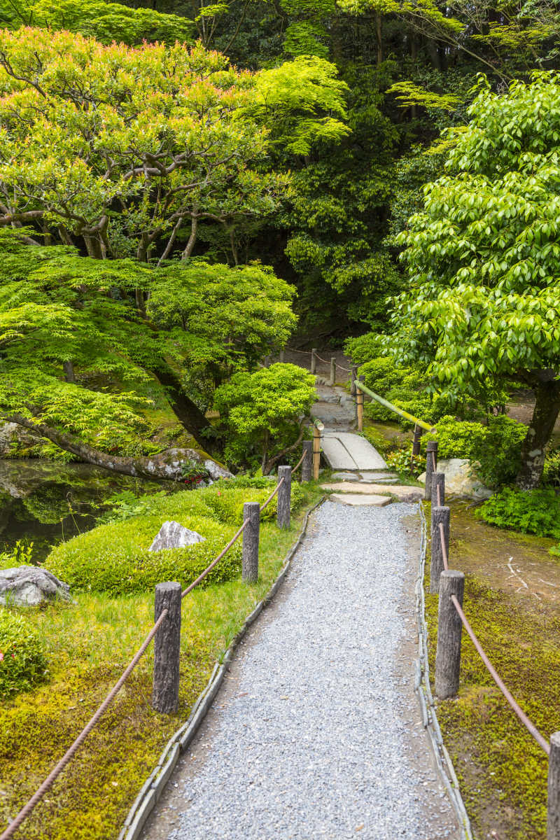 京都佛寺附近的水景花园