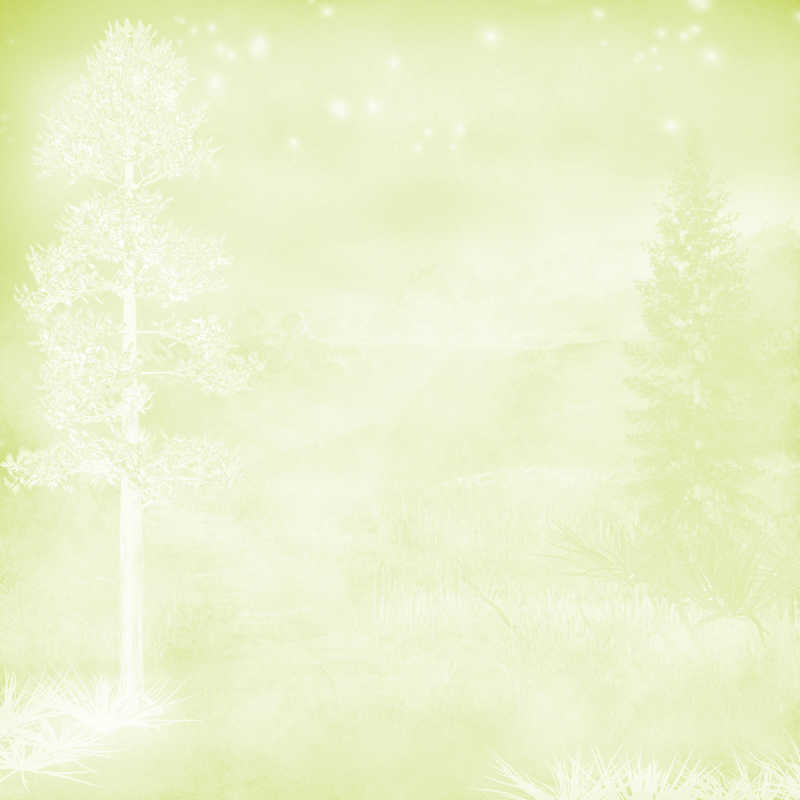 冬季森林植物背景